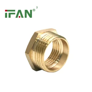 Brass Fittings Bush