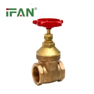 brass gate valve