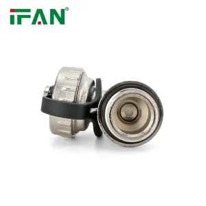 IFAN Blow Down Valves