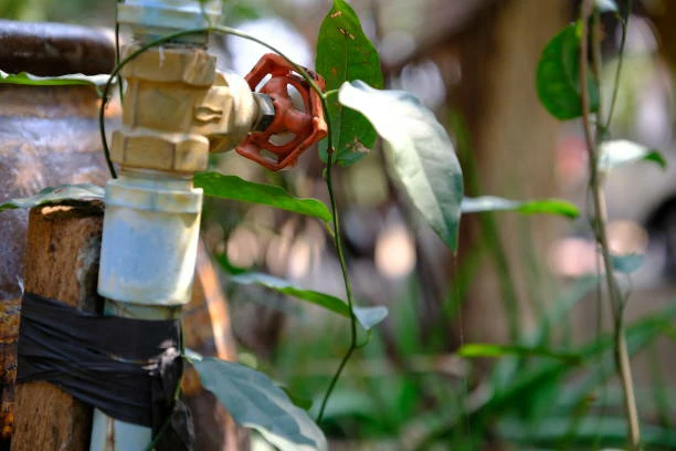 Ease of Operation in Brass Gate Valves