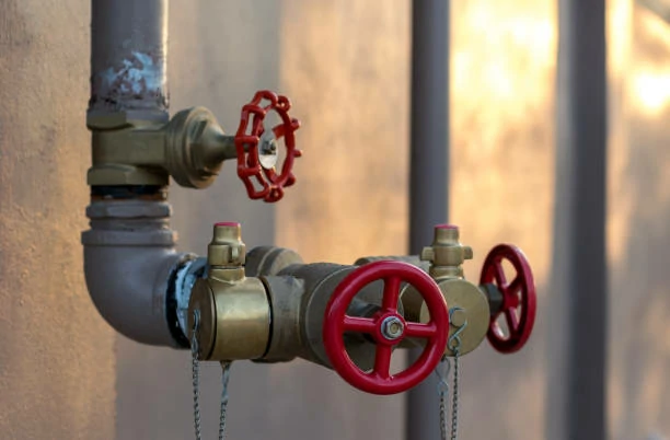 Wide Range of Applications for Brass Gate Valves