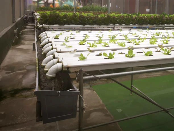 pvc pipe irrigation