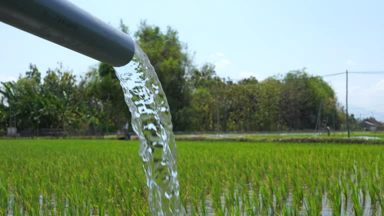 pvc pipe irrigation