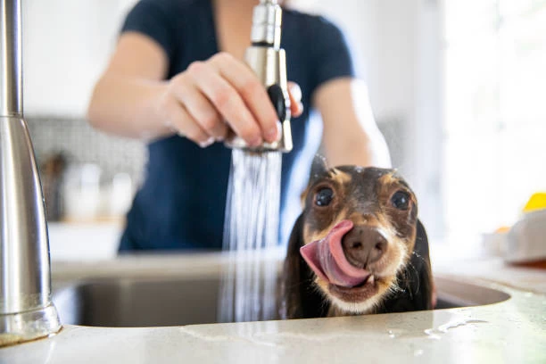 Kitchen Taps