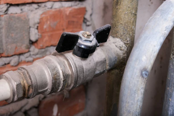 Globe valves