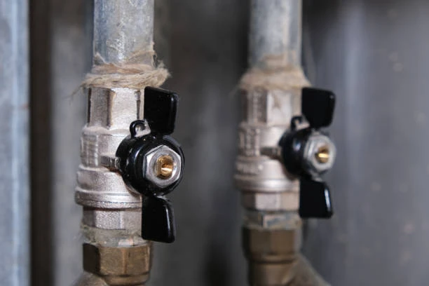 Globe valves