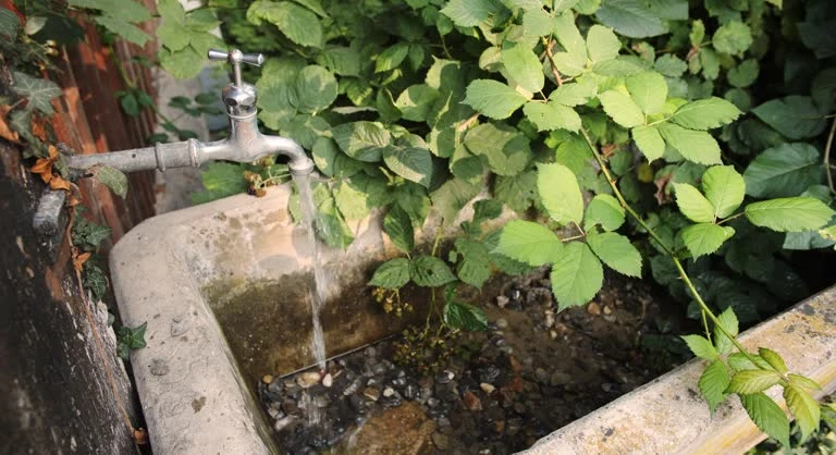 Water boiler taps