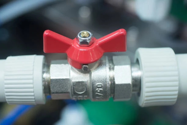 Butterfly Valve